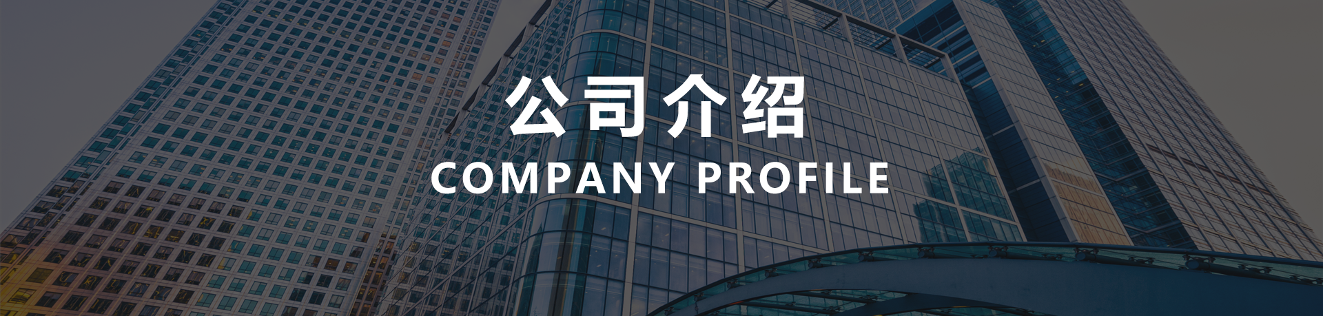 公司介绍插图.png